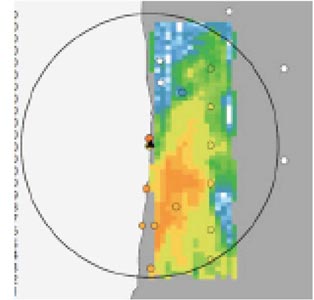 distribution of radionuclides
