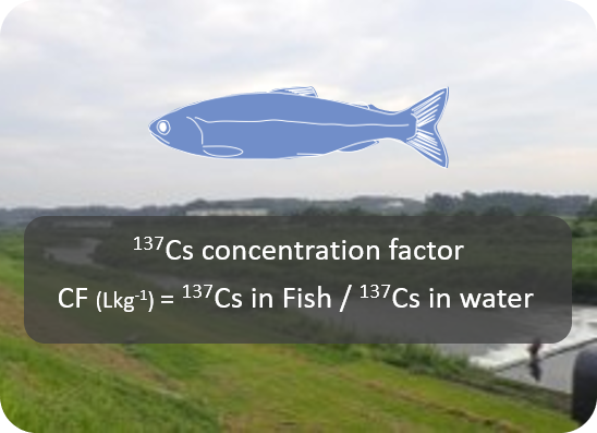Cs-137 CF values for freshwater fish 