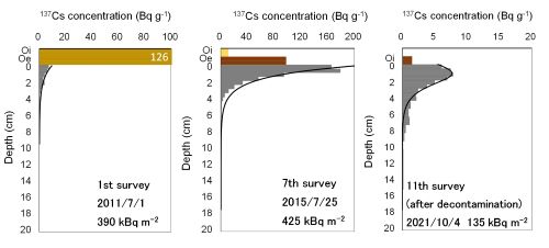 vertical distribution of radiocesium