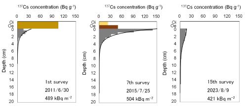 vertical distribution of radiocesium